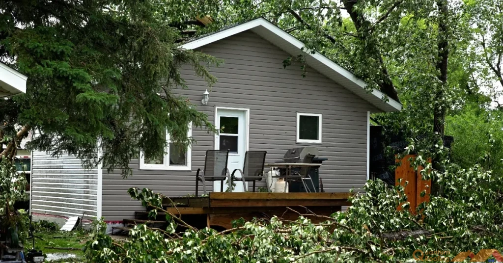 House with downed tree. Storm Damage Roof Repair: What to Do After High Winds or Hail