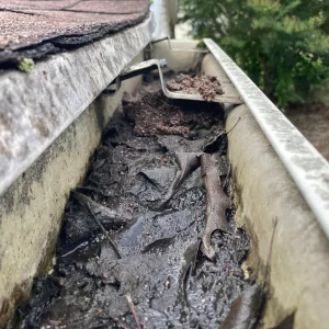 Dirty gutter blocking water from adequate drainage.