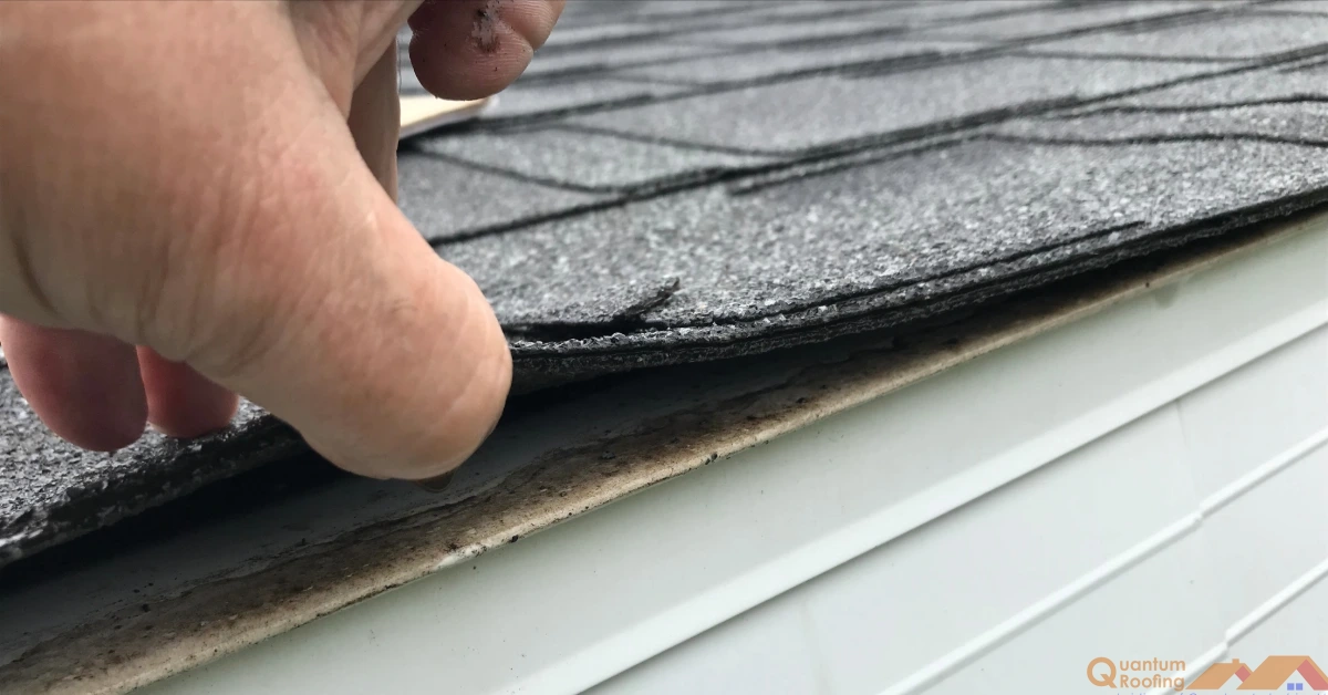 Why a Roof Inspection Can Prevent Expensive Repairs