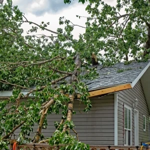 Tree on top of house roof indicating storm damage