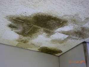 Roof Leak Evidence in Home
